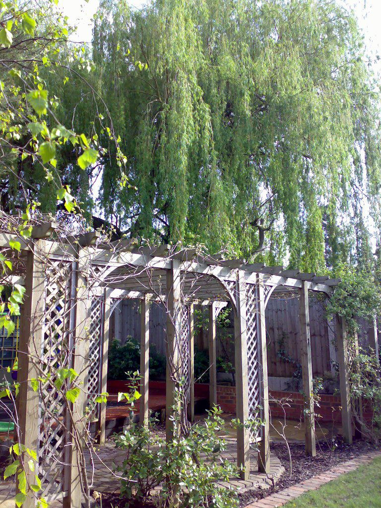 View of kitchen garden with school playgorund in background